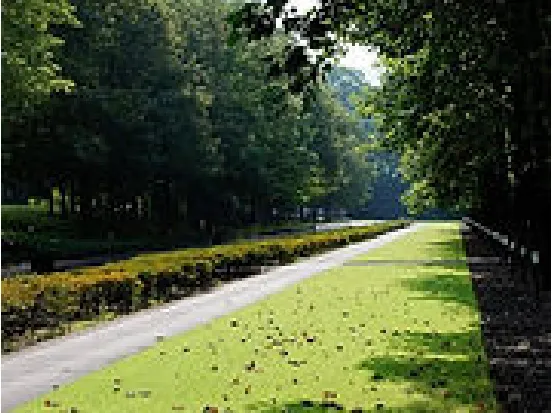 植村直己公園